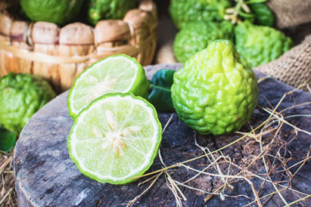 Grow Your Own Thai Garden Image